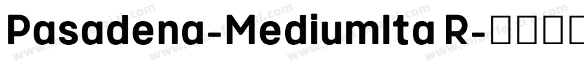 Pasadena-MediumIta R字体转换